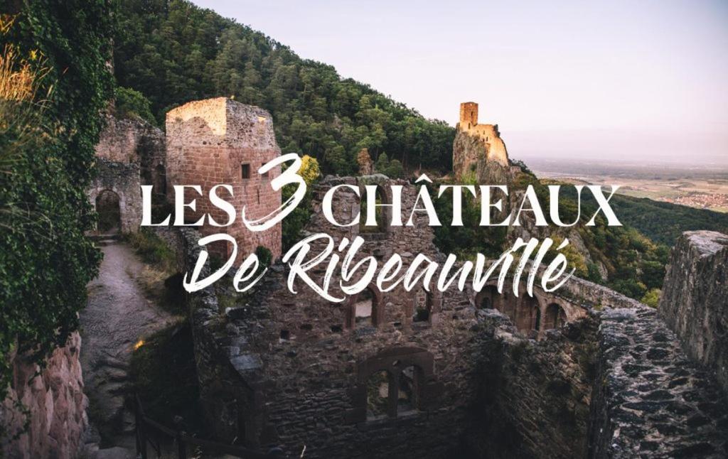 Appartement Au Coeur Du Vignoble Alsacien