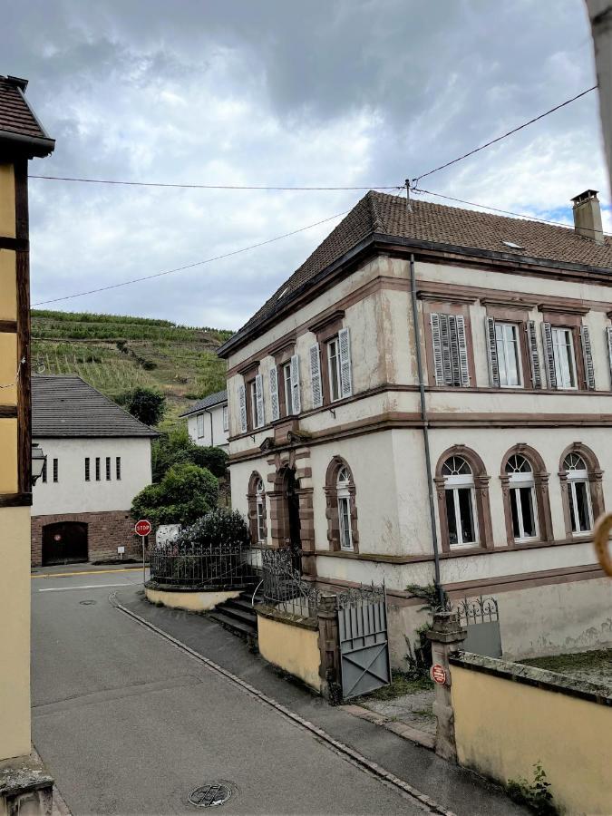 Au Coeur Du Vignoble Alsacien * Ribeauvillé