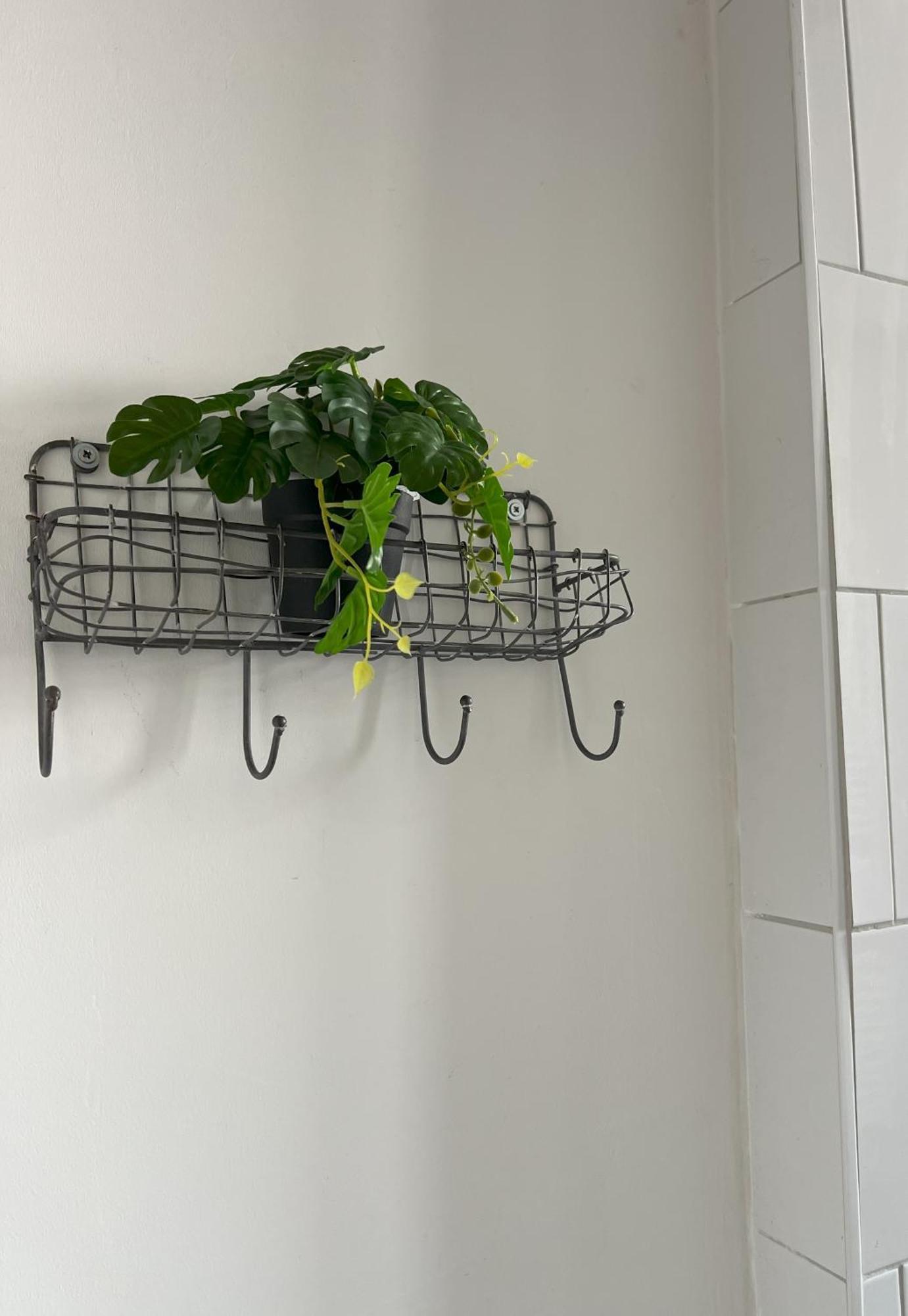 Appartement Au Coeur Du Vignoble Alsacien *